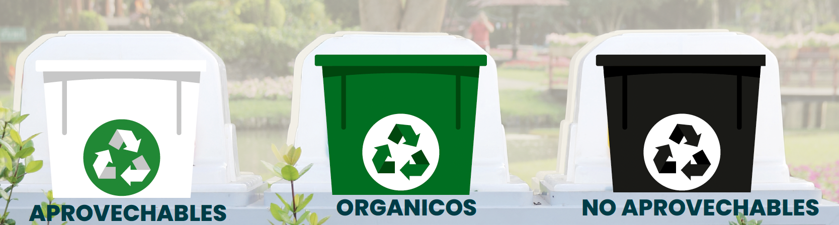 Guía de Separación de Residuos